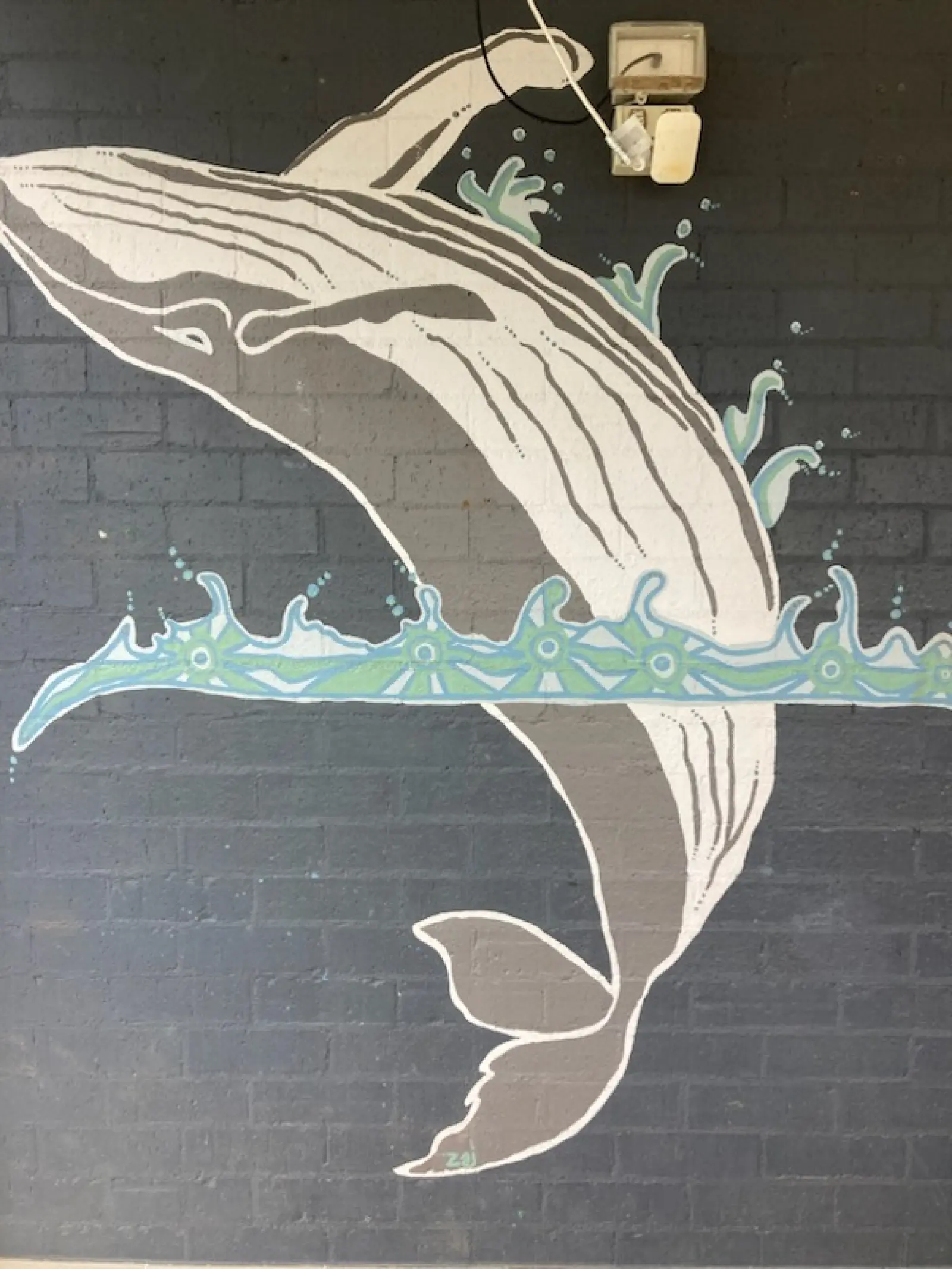 Jaz Corr — Local Indigenous Artist