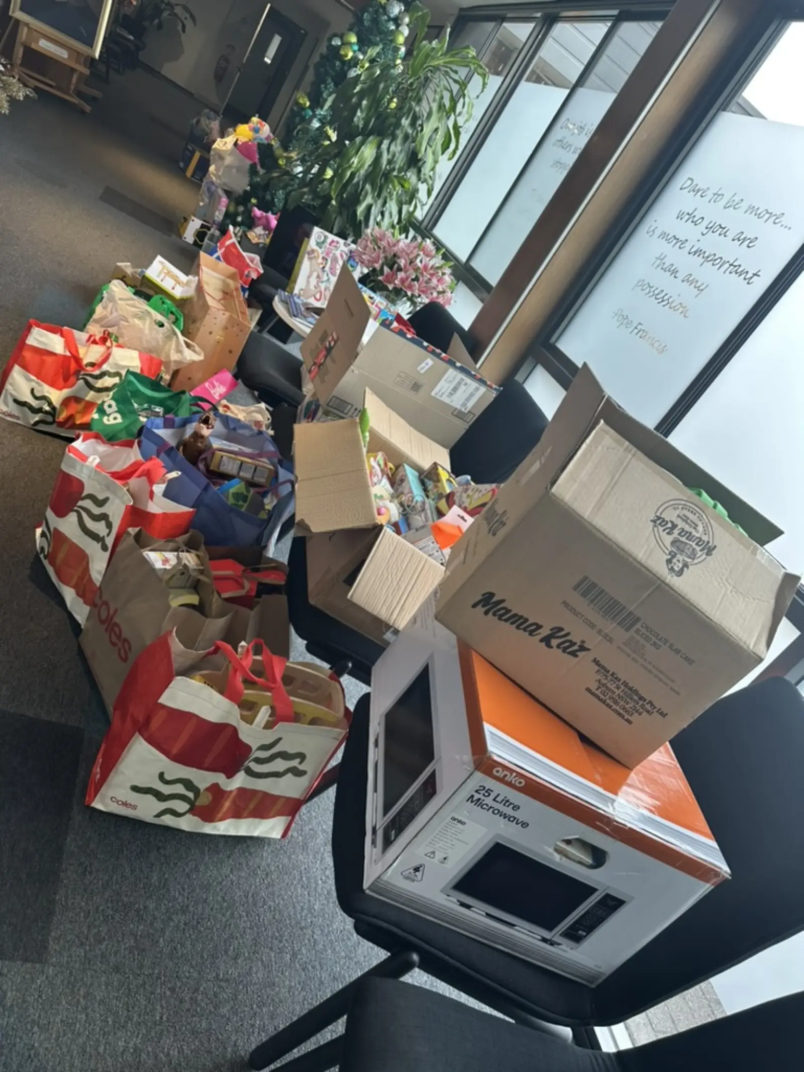 Vinnies Christmas Appeal